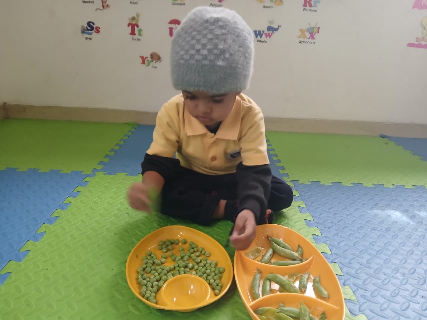 Medha Preschool campus gallery photo 43